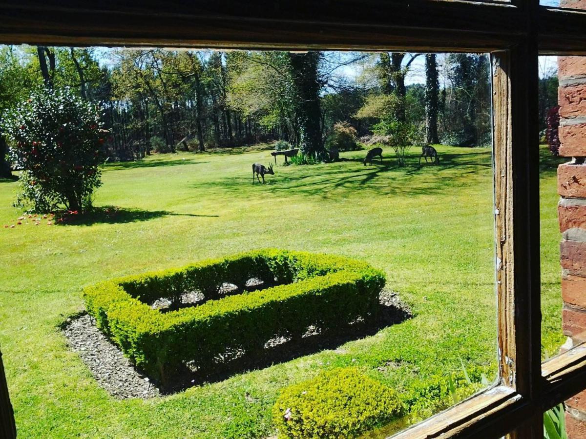 Les Hotes Des Guillemets Laglorieuse Exteriör bild